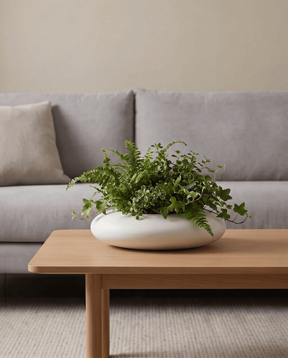 Plant Pot Ceramic Oval Designer Planter, 21 cm - Black