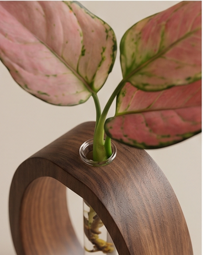 Cove Vase in Solid Walnut Wood with Glass Test Tube, 14.5 cm