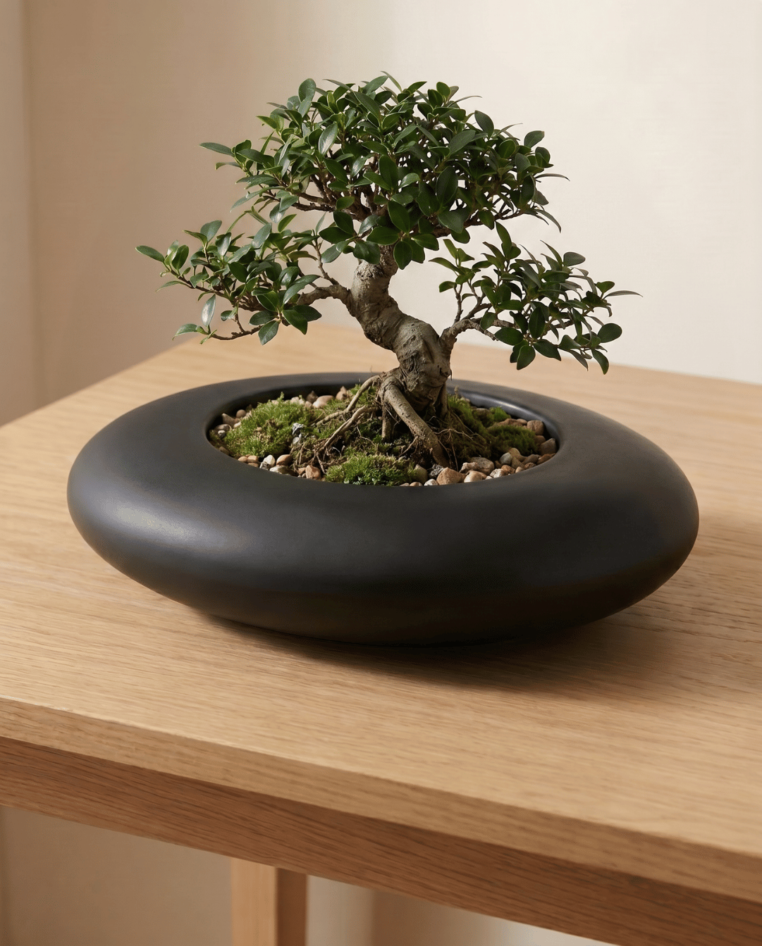 Plant Pot Ceramic Oval Designer Planter, 21 cm