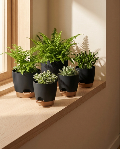 Self-Watering Plant Pot in Plastic, BPA-Free, Set of 5