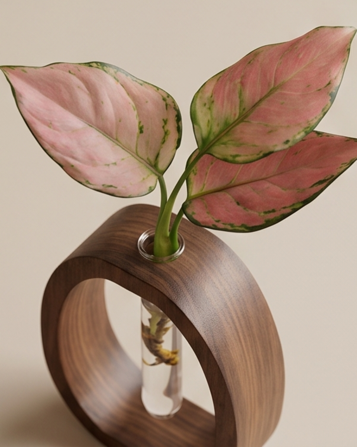 Cove Vase in Solid Walnut Wood with Glass Test Tube, 14.5 cm
