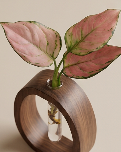 Cove Vase in Solid Walnut Wood with Glass Test Tube, 14.5 cm