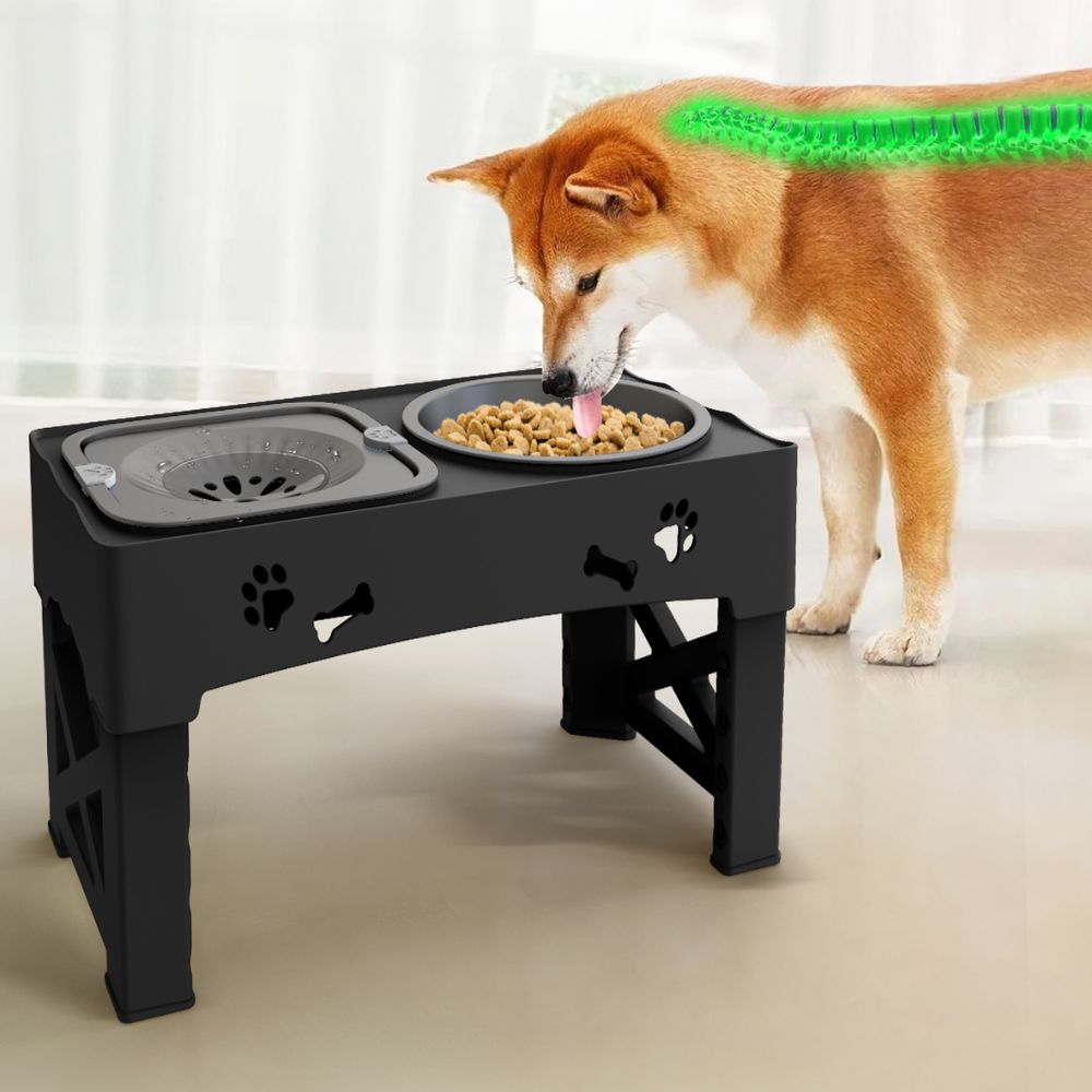 Adjustable Raised Dog Slow Feeder Bowl with Non-Slip Base | Promotes Healthy Eating for Dogs 1