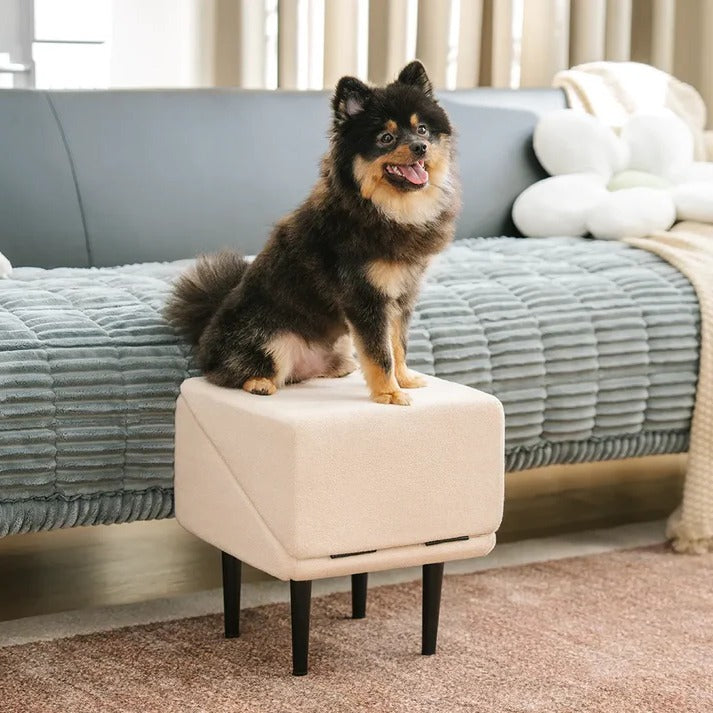 Convertible Dog Ramp for Bed with Anti-Slip Surface | Dual-Use Step Stool for Safe Access 6