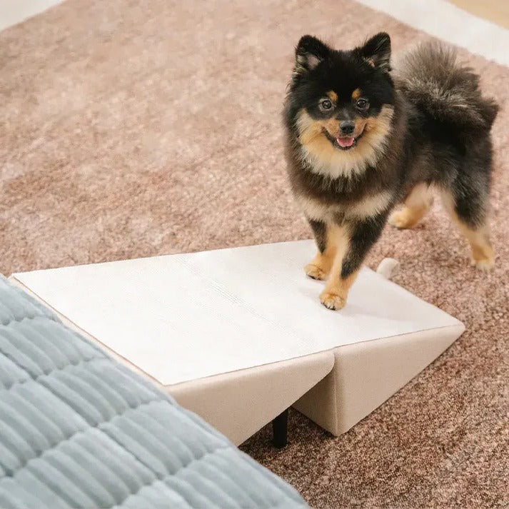 Convertible Dog Ramp for Bed with Anti-Slip Surface | Dual-Use Step Stool for Safe Access 7