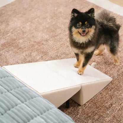 Convertible Dog Ramp for Bed with Anti-Slip Surface | Dual-Use Step Stool for Safe Access 7