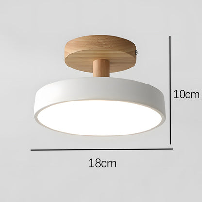 Scandinavian Ceiling Lamp with Wooden Base & Soft Pastel Design
